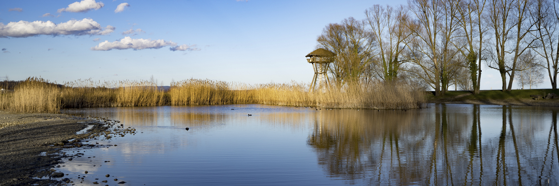 Aussichtsturm Seeburgpark