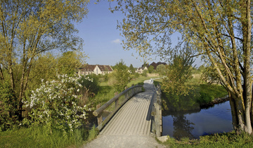 Holzbrücke über Bachlauf Holzbrücke über Bachlauf