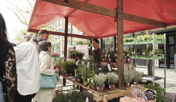 Gartentag 2024 Gartentag 2024