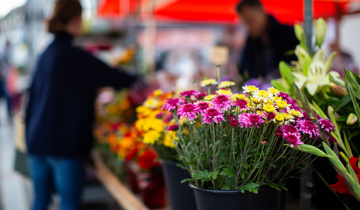 Marktstand mit Blumen