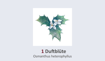 Duft- und Winterblütengarten Schild 1