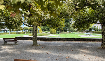 Dreispitz-Platanen-Allee