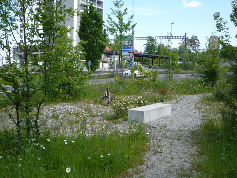 Beispiel Biodiversität in der Stadt Kreuzlingen Biodiversität