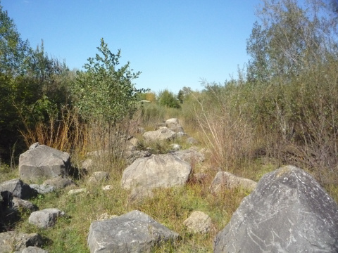 Schreckenmoos Schreckenmoos BVK