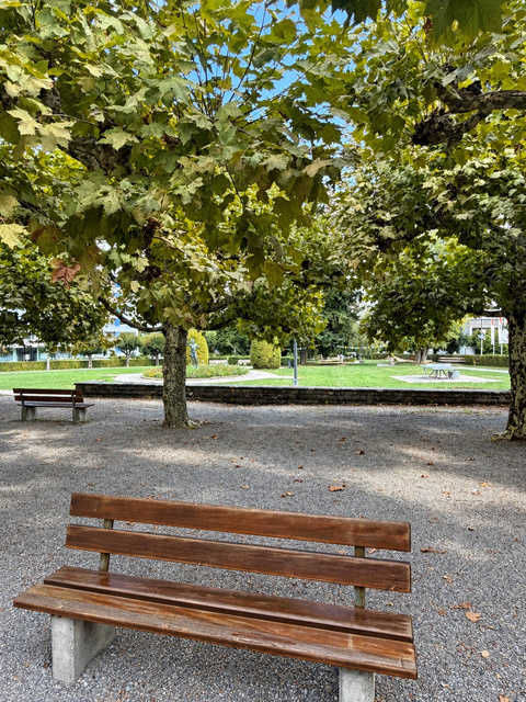 Dreispitz-Platanen-Allee
