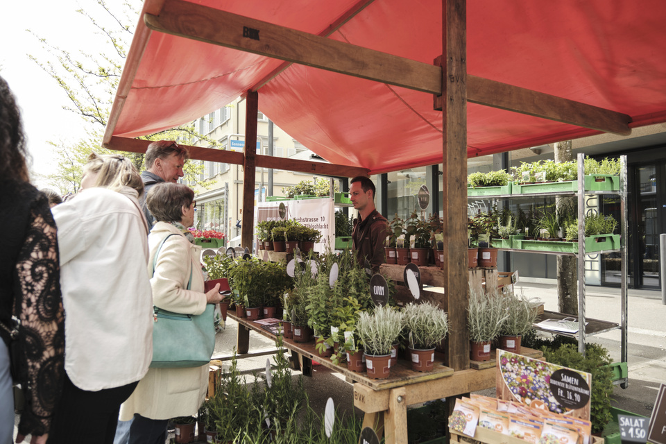 Impression vom Gartentag 2024. Gartentag 2024