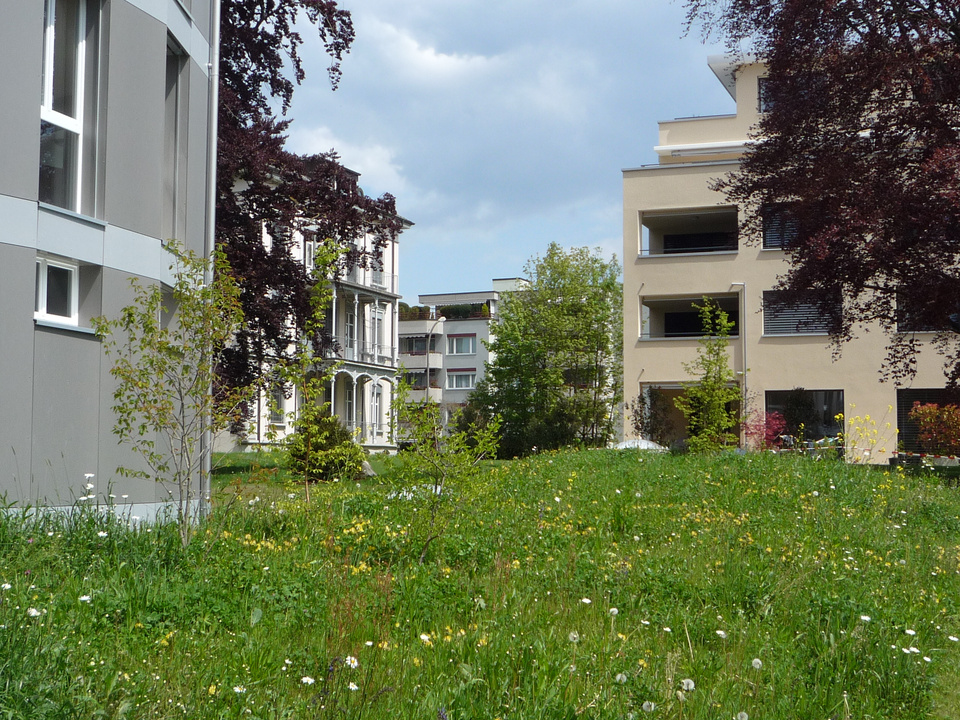 Biodiversität