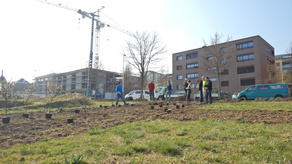 Pflanzaktion im Zeppelinring. Wildhecken schaffen Lebensraum