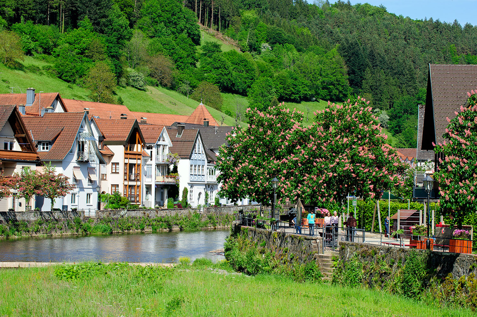 Wolfach, Landschaft 