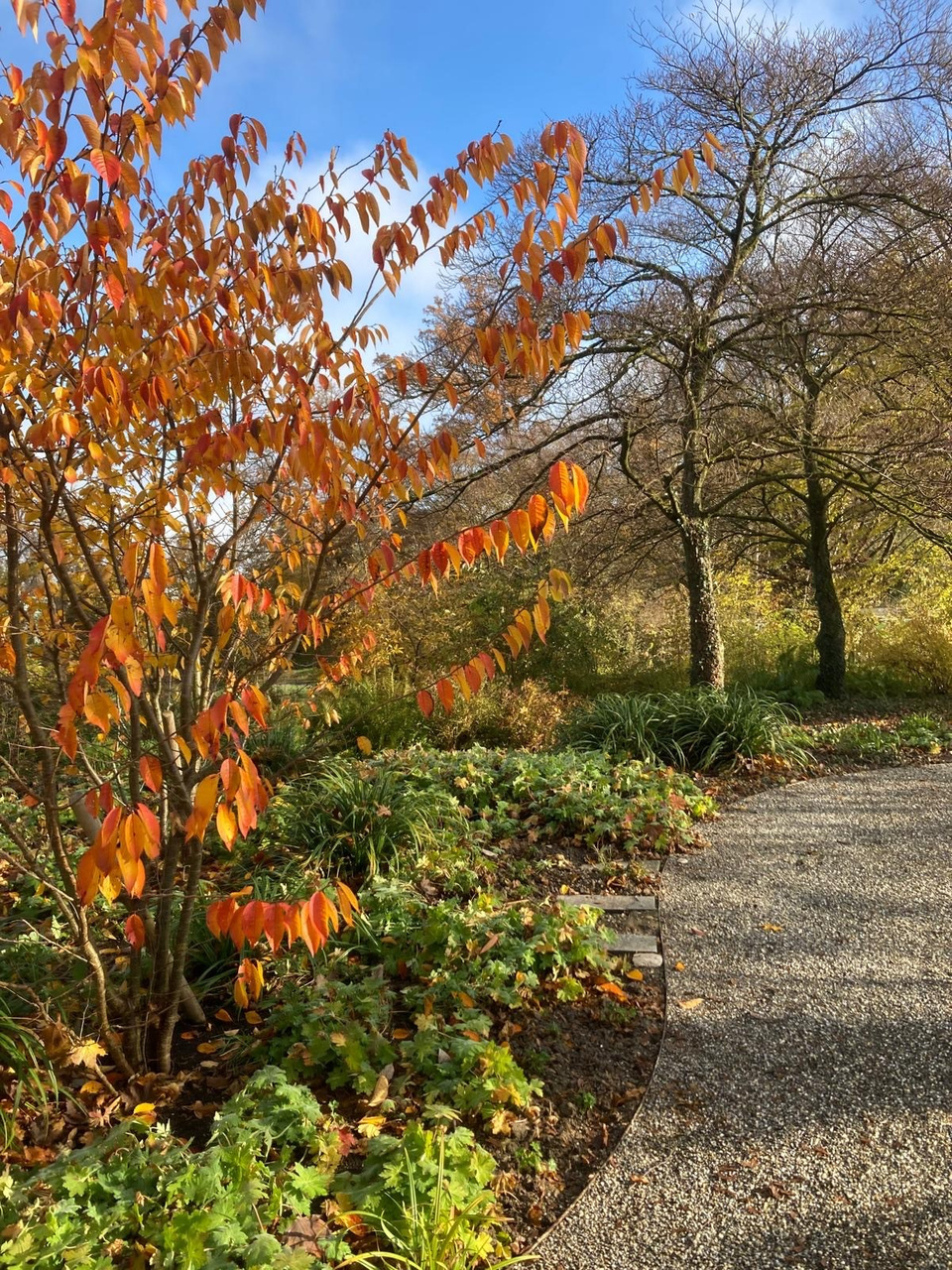 Der Kreuzlinger Zentralfriedhof an der Alpstrasse. MM Kreuzlingen entdecken Der Zentralfriedhof BILD