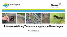 Präsentation Infoveranstaltung Tapinoma magnum 17.3.26 Infoveranstaltung Tapinoma magnum in Kreuzlingen