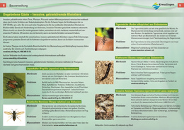 Invasive, gebietsfremde Kleintiere Ungebetene Gäste – Invasive, gebietsfremde Kleintiere