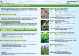 Problempflanzen im Wald Problempflanzen im Wald – so helfen Sie mit