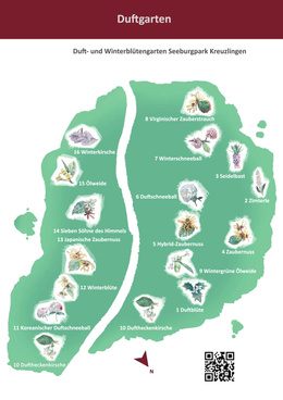 Duft- und Winterblütengarten Übersichtsplan Duft und Winterblütengarten
